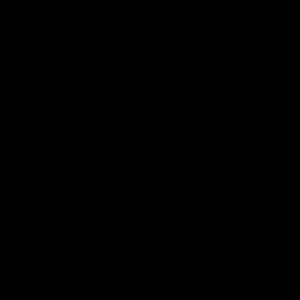 Meet your Posher, Liz